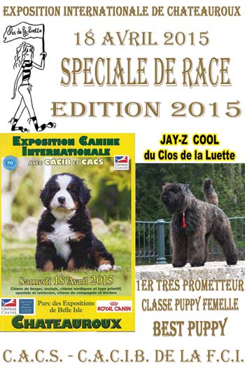 JOHN ROSS © Elevage bouvier des flandre du Clos de la Luette © Clos de la Luette Kennel